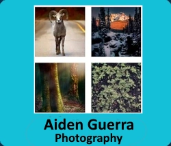 Aidan Gueera - Photography